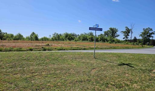 Photo #45 of TBD ANDERSONVILLE RD, DILLWYN, VA 80.0 acres