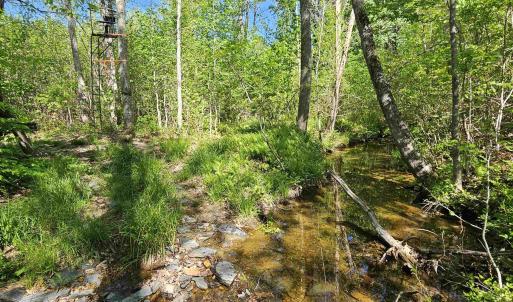 Photo #40 of TBD ANDERSONVILLE RD, DILLWYN, VA 80.0 acres