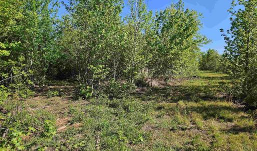 Photo #36 of TBD ANDERSONVILLE RD, DILLWYN, VA 80.0 acres