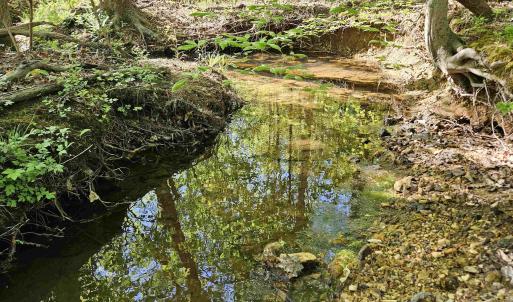Photo #35 of TBD ANDERSONVILLE RD, DILLWYN, VA 80.0 acres