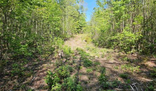 Photo #33 of TBD ANDERSONVILLE RD, DILLWYN, VA 80.0 acres
