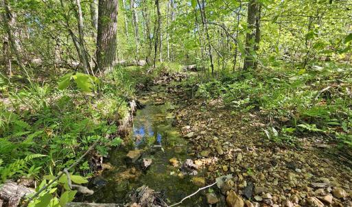 Photo #28 of TBD ANDERSONVILLE RD, DILLWYN, VA 80.0 acres