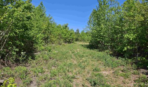 Photo #42 of TBD ANDERSONVILLE RD, DILLWYN, VA 80.0 acres