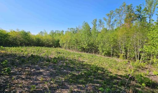 Photo #25 of TBD ANDERSONVILLE RD, DILLWYN, VA 80.0 acres