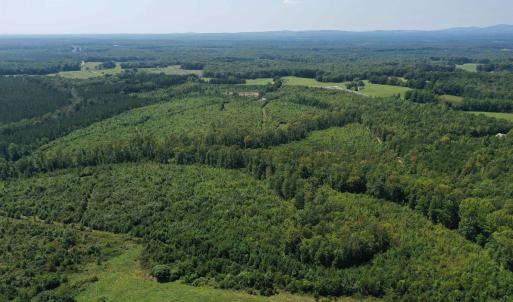 Photo #47 of TBD ANDERSONVILLE RD, DILLWYN, VA 80.0 acres