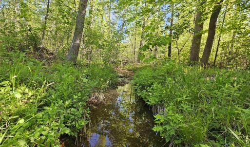 Photo #24 of TBD ANDERSONVILLE RD, DILLWYN, VA 80.0 acres