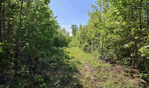 Photo #32 of TBD ANDERSONVILLE RD, DILLWYN, VA 80.0 acres