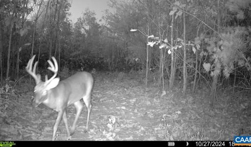 Photo #14 of TBD ANDERSONVILLE RD, DILLWYN, VA 80.0 acres