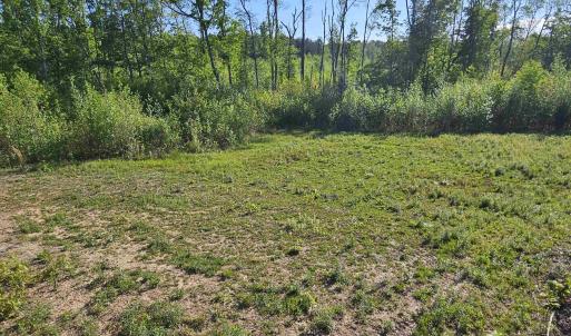 Photo #11 of TBD ANDERSONVILLE RD, DILLWYN, VA 80.0 acres