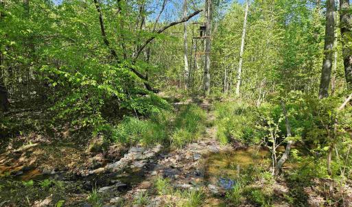 Photo #38 of TBD ANDERSONVILLE RD, DILLWYN, VA 80.0 acres