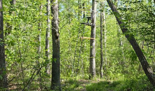 Photo #34 of TBD ANDERSONVILLE RD, DILLWYN, VA 80.0 acres