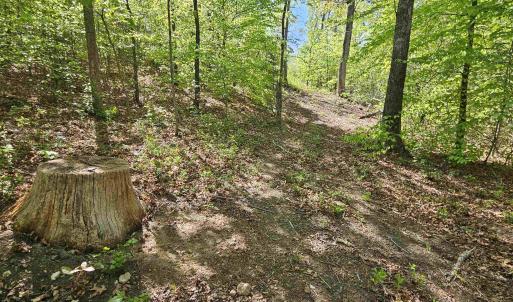 Photo #41 of TBD ANDERSONVILLE RD, DILLWYN, VA 80.0 acres