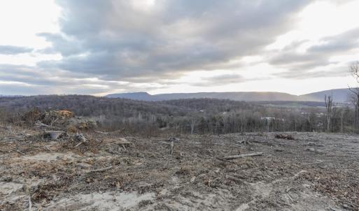 Photo #4 of TBD NEW MARKET DEPOT RD, NEW MARKET, VA 16.2 acres