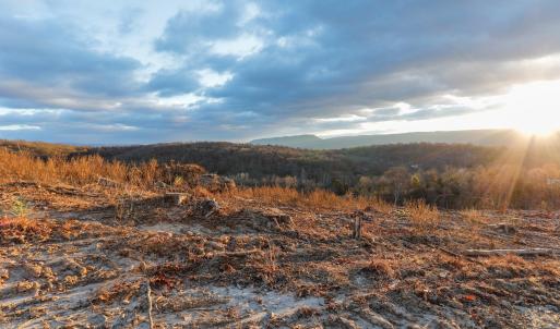 Photo #16 of TBD NEW MARKET DEPOT RD, NEW MARKET, VA 16.2 acres