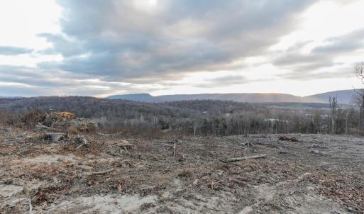 Photo #18 of TBD NEW MARKET DEPOT RD, NEW MARKET, VA 16.2 acres