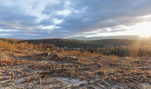 Photo #4 of TBD NEW MARKET DEPOT RD, NEW MARKET, VA 16.2 acres