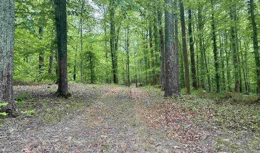 Photo #4 of TM 53A A 11 RAPIDAN WAY, BARBOURSVILLE, VA 10.4 acres