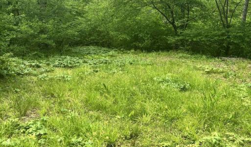Photo #11 of TM 53A A 11 RAPIDAN WAY, BARBOURSVILLE, VA 10.4 acres