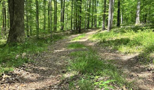 Photo #2 of TM 53A A 11 RAPIDAN WAY, BARBOURSVILLE, VA 10.4 acres