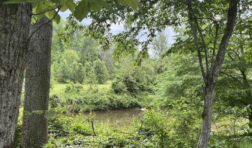 Picnic area overlooking the river