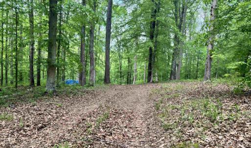 Photo #5 of TM 53A A 11 RAPIDAN WAY, BARBOURSVILLE, VA 10.4 acres