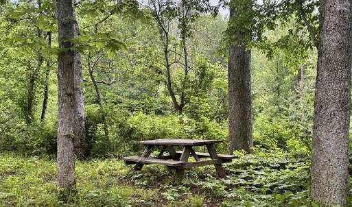 Photo #10 of TM 53A A 11 RAPIDAN WAY, BARBOURSVILLE, VA 10.4 acres