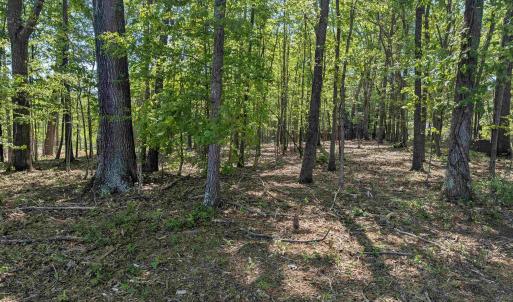 Photo #23 of Lot 4 ADVANCE MILLS RD, RUCKERSVILLE, VA 10.5 acres