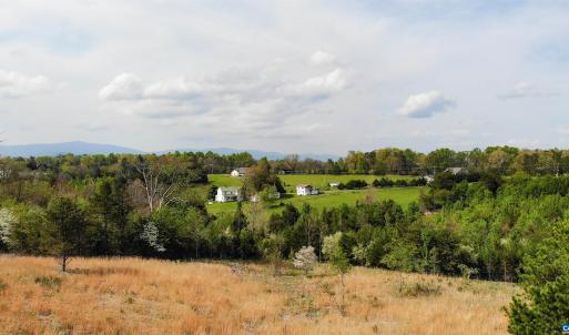 Photo #4 of Lot 4 ADVANCE MILLS RD, RUCKERSVILLE, VA 10.5 acres