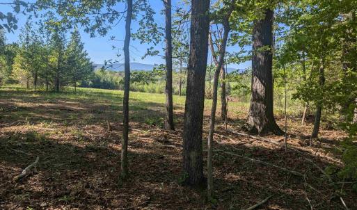 Photo #13 of Lot 4 ADVANCE MILLS RD, RUCKERSVILLE, VA 10.5 acres