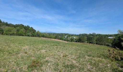 Photo #16 of Lot 4 HORIZON DR, RUCKERSVILLE, VA 10.5 acres