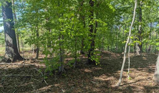 Photo #15 of Lot 4 HORIZON DR, RUCKERSVILLE, VA 10.5 acres