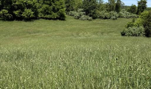 Photo #4 of TBD EARHART LN, VERONA, VA 3.2 acres