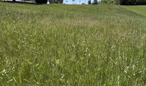 Photo #3 of TBD EARHART LN, VERONA, VA 3.2 acres