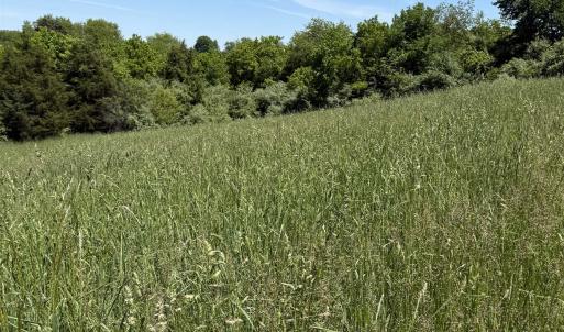 Photo #5 of TBD EARHART LN, VERONA, VA 3.2 acres