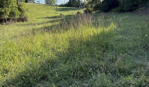 Photo #1 of TBD EARHART LN, VERONA, VA 3.2 acres