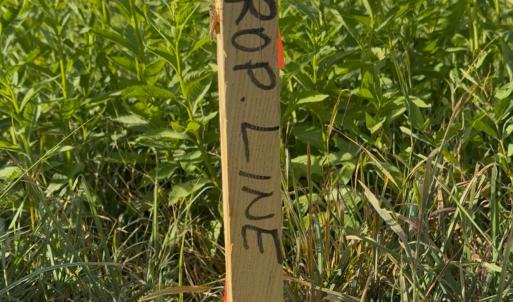 Photo #4 of TBD EARHART LN, VERONA, VA 3.2 acres