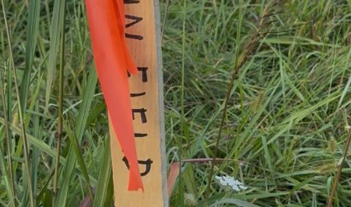 Photo #5 of TBD EARHART LN, VERONA, VA 3.2 acres