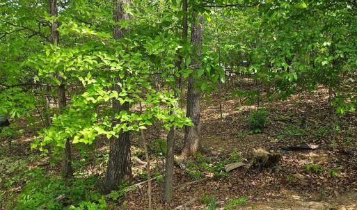 Photo #4 of RIDGE VIEW LN, ELKTON, VA 164.0 acres
