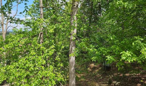 Photo #3 of RIDGE VIEW LN, ELKTON, VA 164.0 acres
