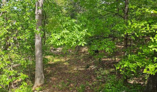 Photo #1 of RIDGE VIEW LN, ELKTON, VA 164.0 acres