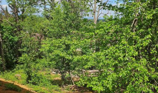 Photo #2 of RIDGE VIEW LN, ELKTON, VA 164.0 acres