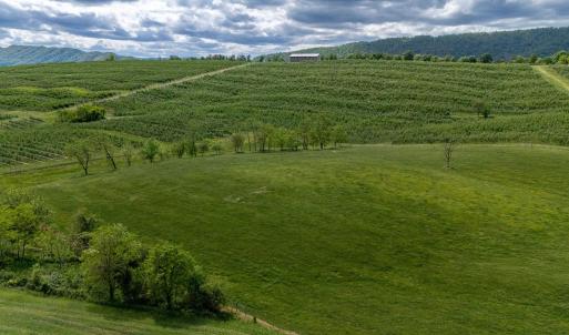 Photo #23 of TBD VETTERS RD, TIMBERVILLE, VA 5.0 acres
