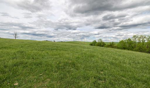 Photo #66 of TBD VETTERS RD, TIMBERVILLE, VA 5.0 acres