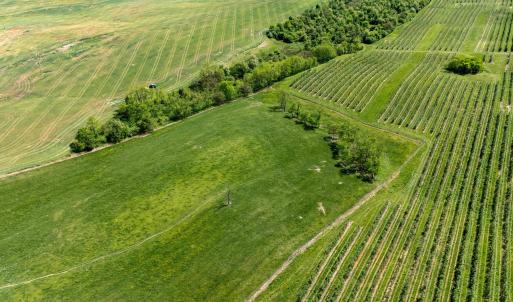 Photo #7 of TBD VETTERS RD, TIMBERVILLE, VA 5.0 acres