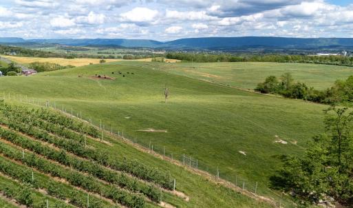 Photo #32 of TBD VETTERS RD, TIMBERVILLE, VA 5.0 acres