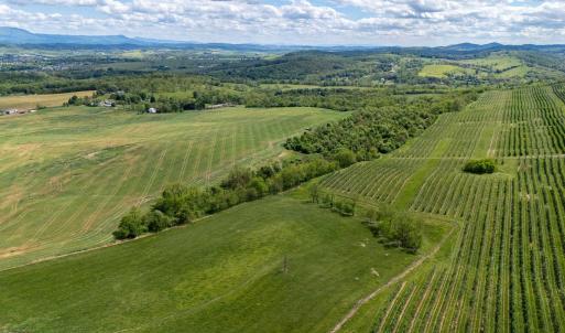 Photo #18 of TBD VETTERS RD, TIMBERVILLE, VA 5.0 acres