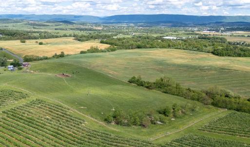 Photo #16 of TBD VETTERS RD, TIMBERVILLE, VA 5.0 acres