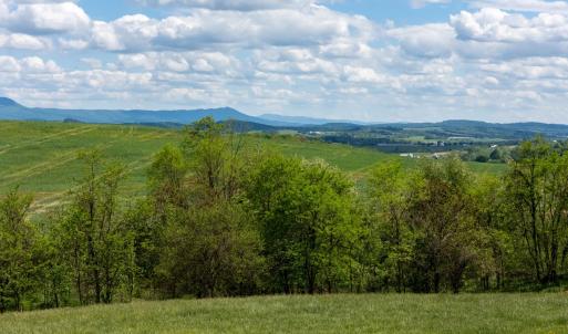 Photo #43 of TBD VETTERS RD, TIMBERVILLE, VA 5.0 acres