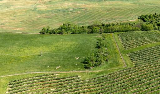 Photo #5 of TBD VETTERS RD, TIMBERVILLE, VA 5.0 acres
