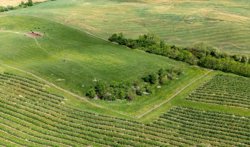 Photo #4 of TBD VETTERS RD, TIMBERVILLE, VA 5.0 acres